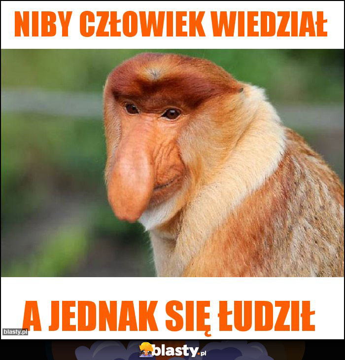 Niby człowiek wiedział