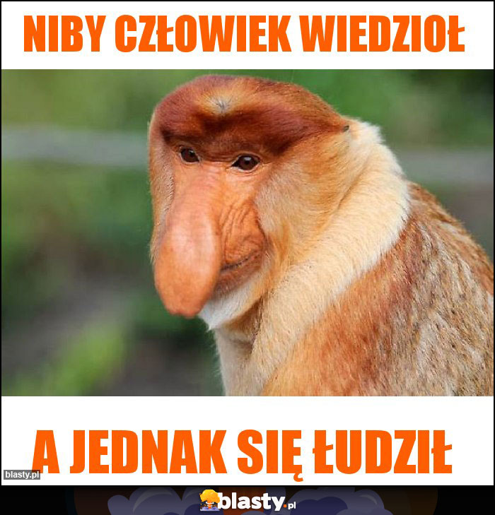 NIBY CZŁOWIEK WIEDZIOŁ