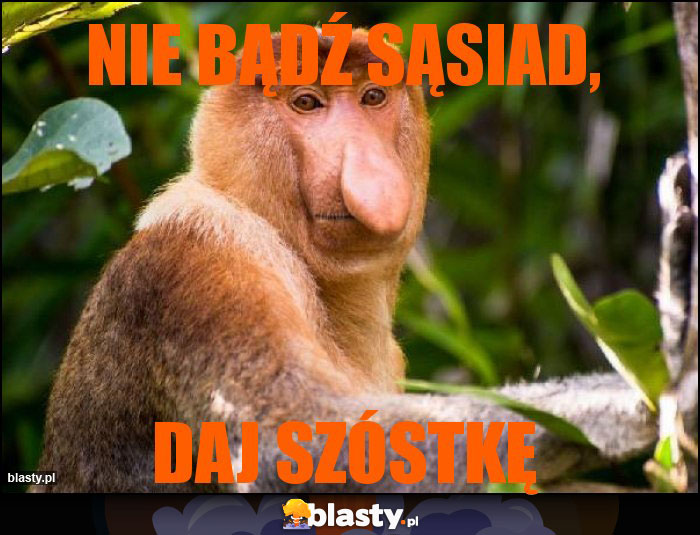 nie bądź sąsiad,