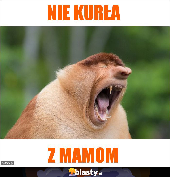 Nie kurła