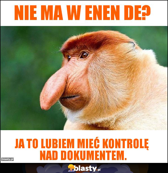 Nie ma w enen de?