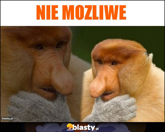 nie mozliwe