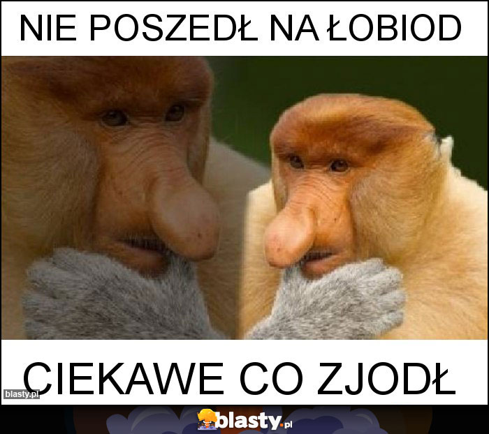 Nie poszedł na Łobiod