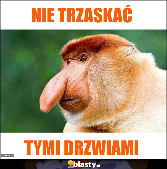 Nie trzaskać