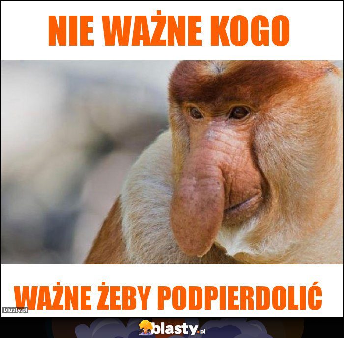 Nie ważne kogo