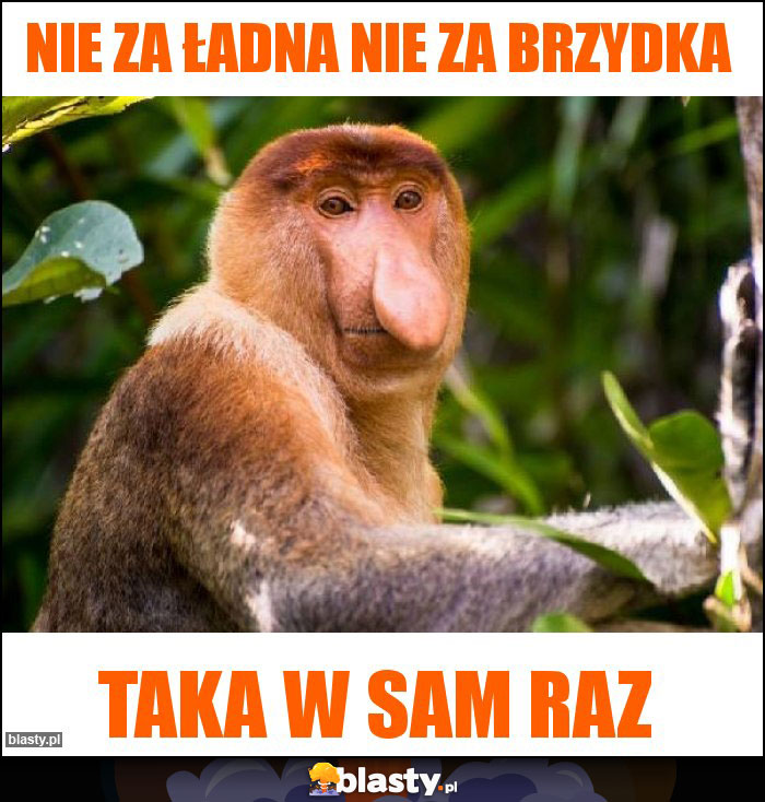 Nie za ładna nie za brzydka