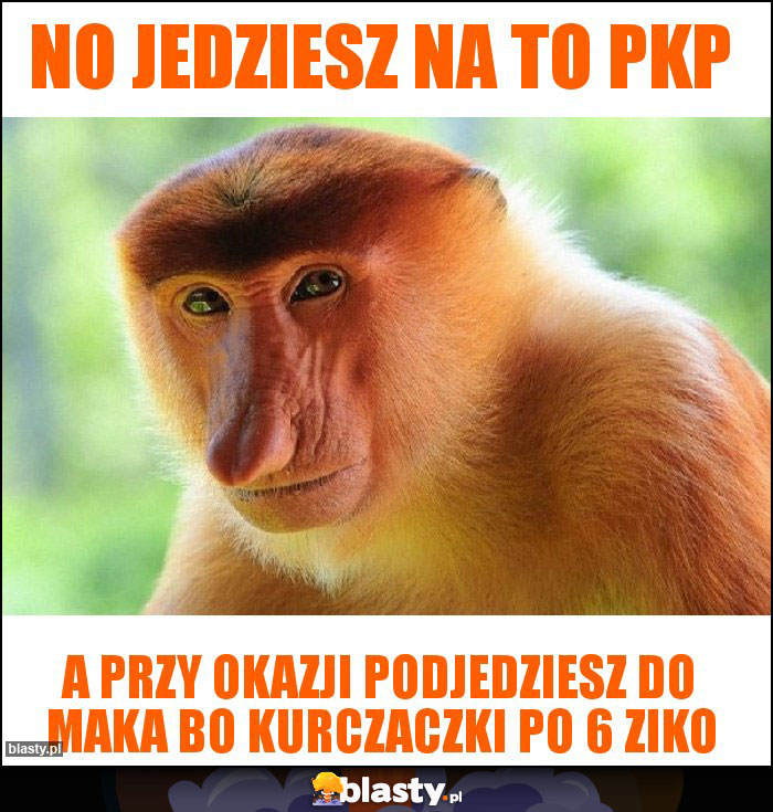 No jedziesz na to PKP