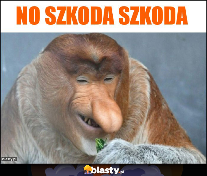 No szkoda szkoda