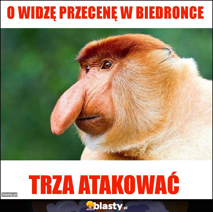 O widzę przecenę w Biedronce