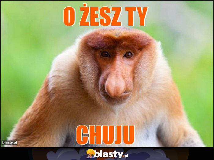 O żesz ty