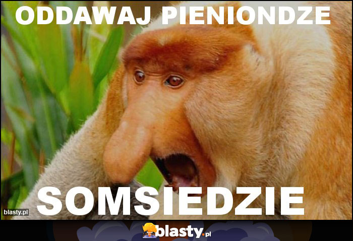 ODDAWAJ PIENIONDZE