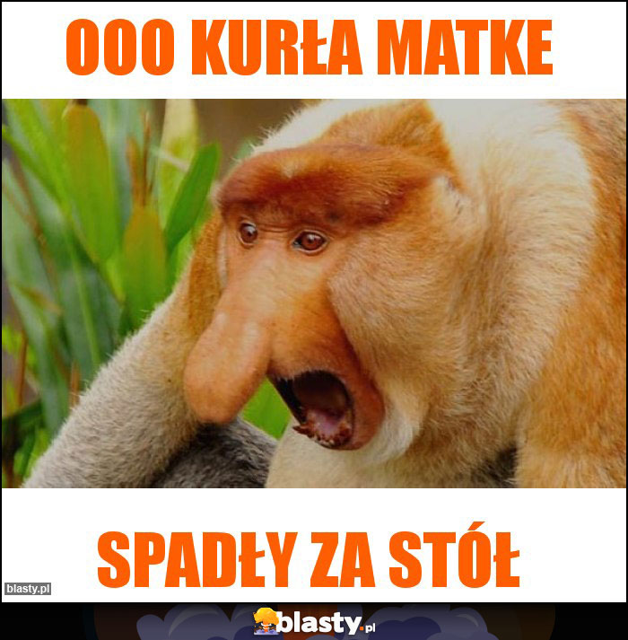 ooo kurła matke