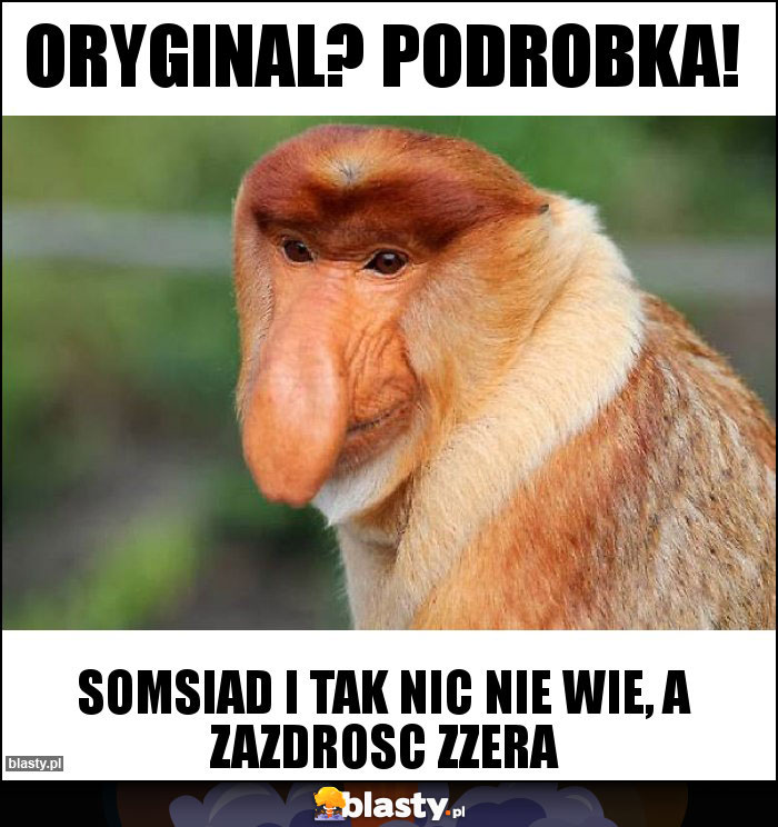 Oryginal? Podrobka!