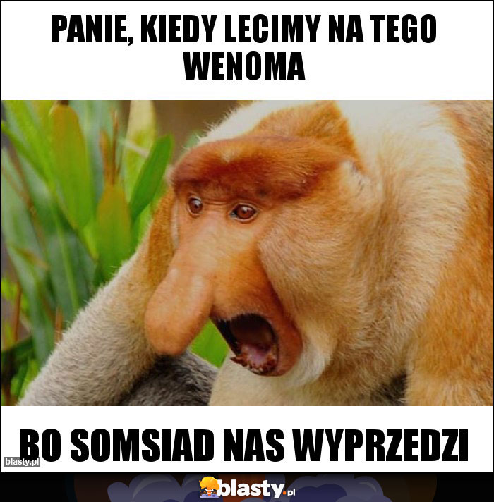 Panie, kiedy lecimy na tego wenoma