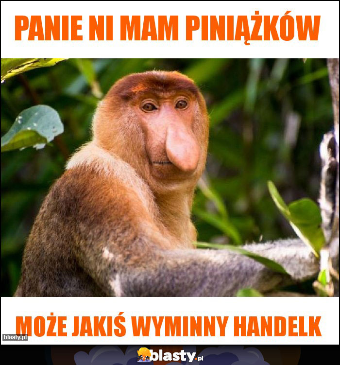 Panie ni mam piniążków