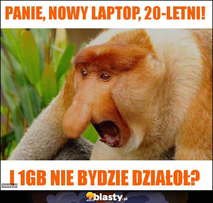 Panie, nowy laptop, 20-letni!