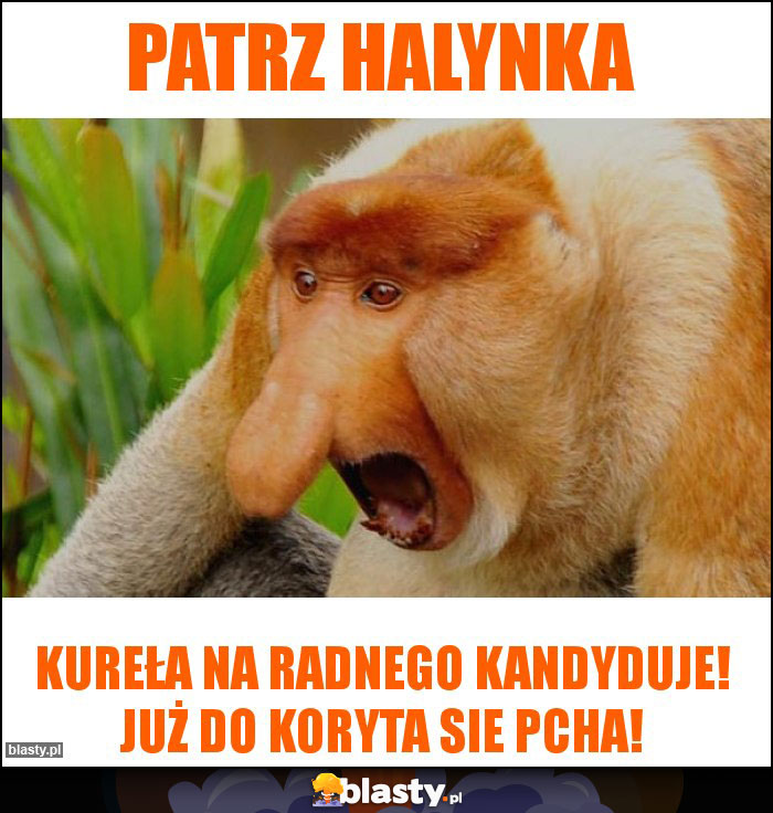 patrz halynka