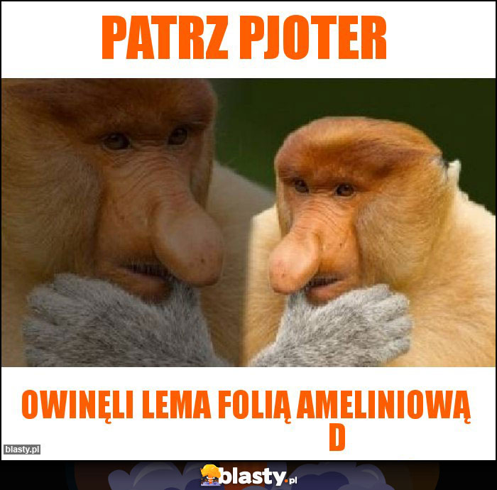 patrz pjoter