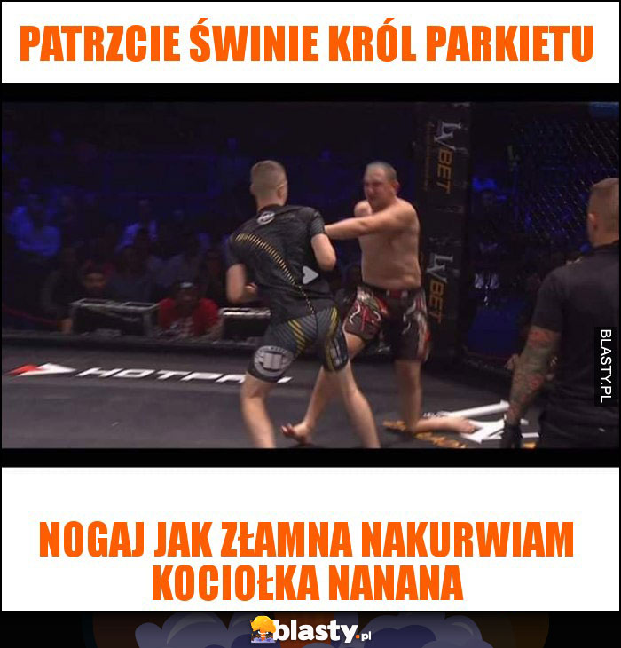 patrzcie świnie król parkietu