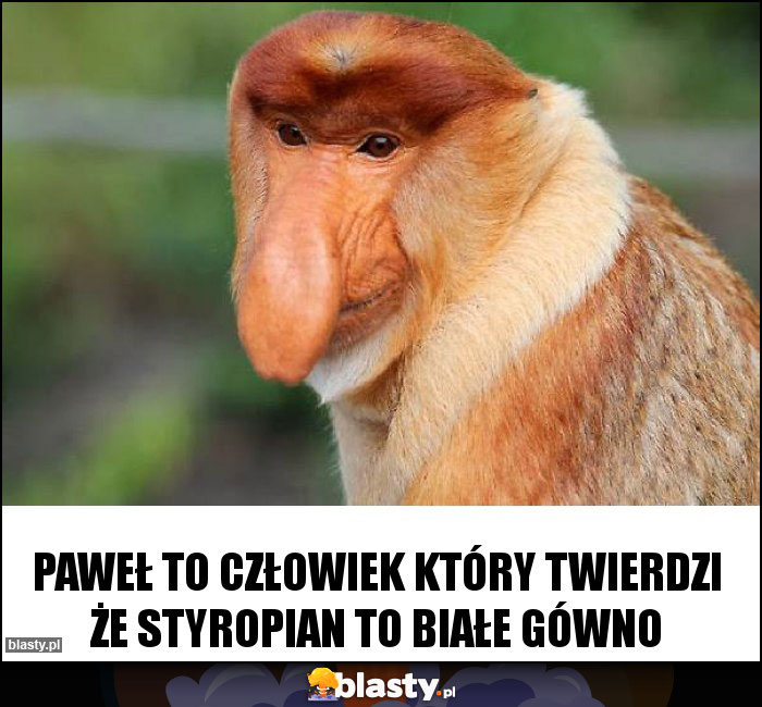 PAWEŁ TO CZŁOWIEK KTÓRY TWIERDZI ŻE STYROPIAN TO BIAŁE GÓWNO