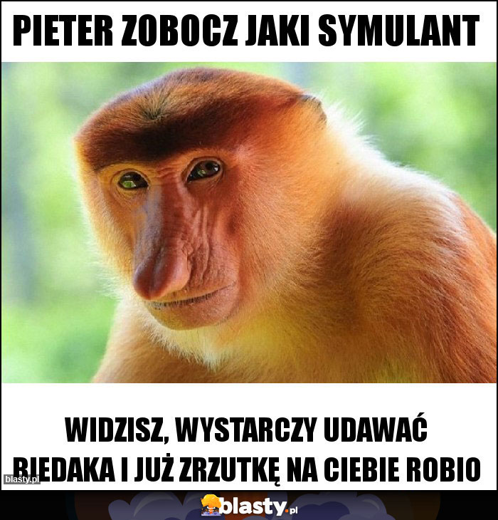 Pieter zobocz jaki symulant