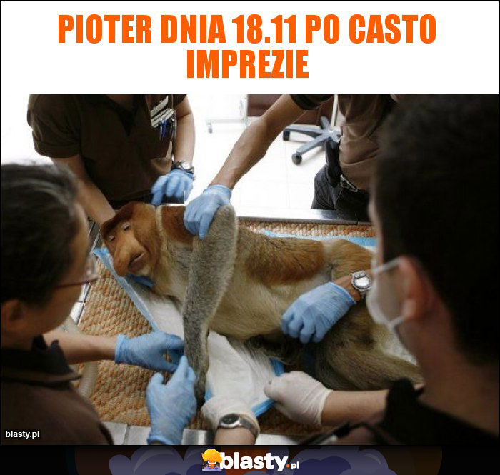 Pioter dnia 18.11 po casto imprezie