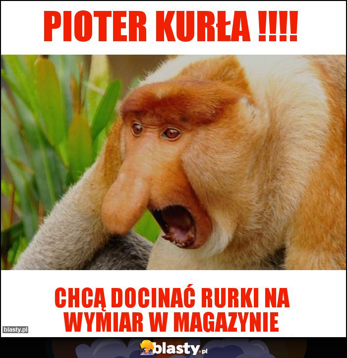 Pioter kurła !!!!