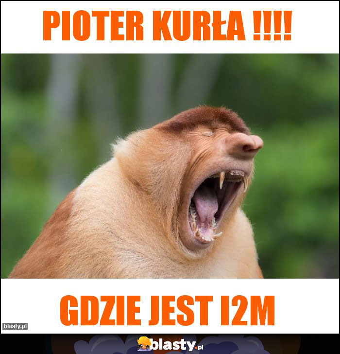 Pioter kurła !!!!