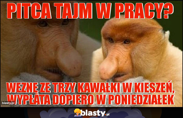 Pitca tajm w pracy?