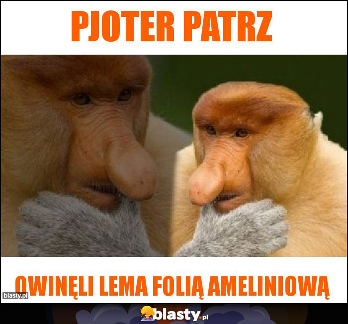 Pjoter patrz