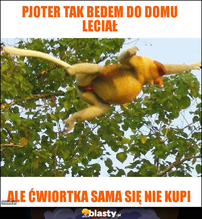 Pjoter tak bedem do domu leciał