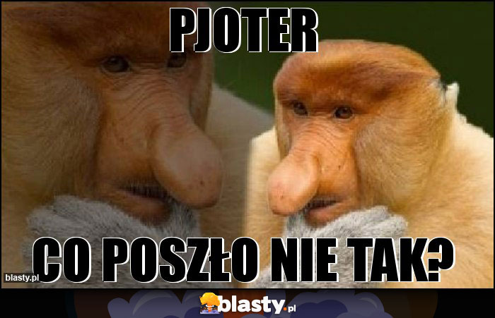 Pjoter