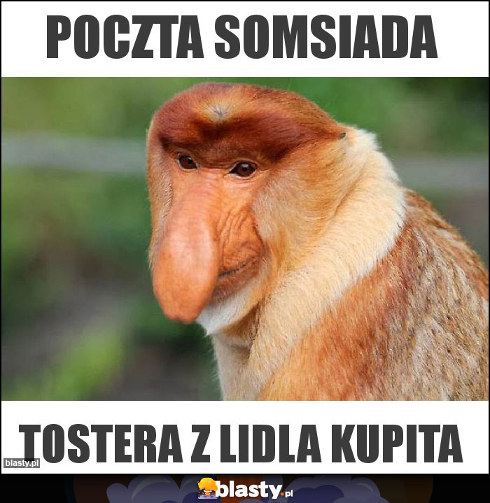 Poczta somsiada