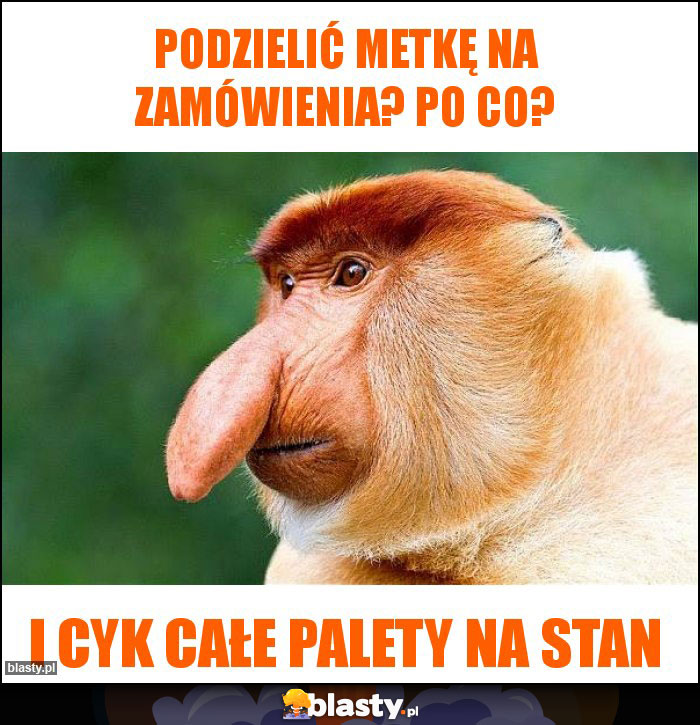 Podzielić metkę na zamówienia? Po co?