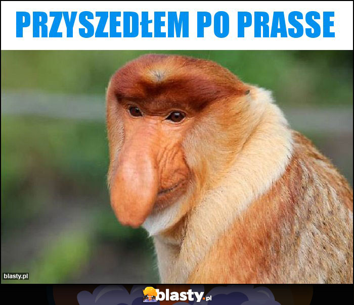 Przyszedłem po prasse