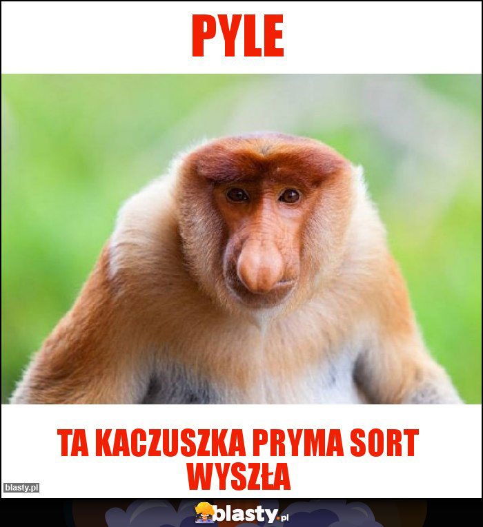 Pyle