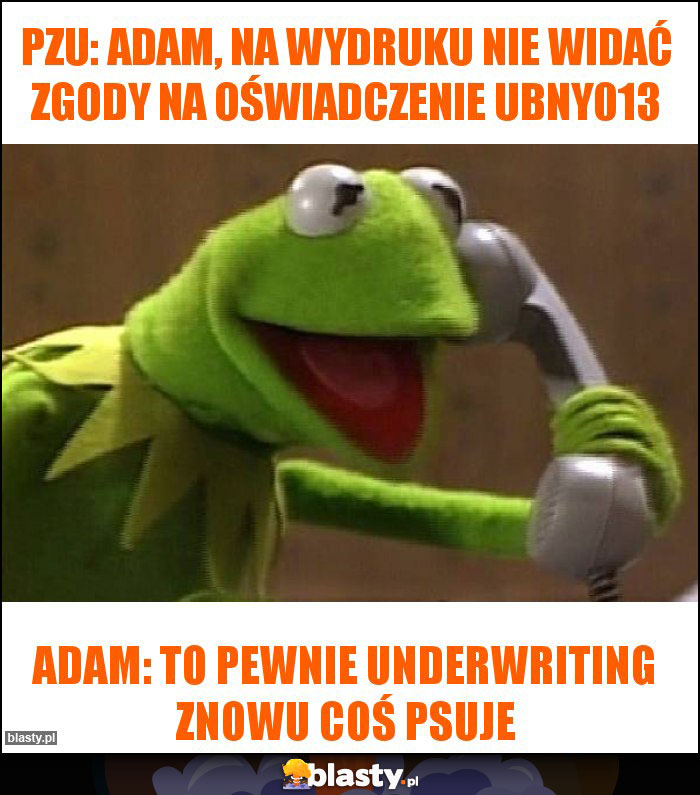 PZU: Adam, na wydruku nie widać zgody na oświadczenie UBNY013