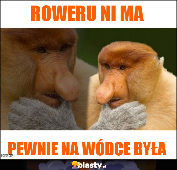 Roweru ni ma