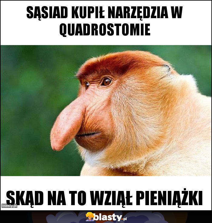 Sąsiad Kupił narzędzia w quadrostomie