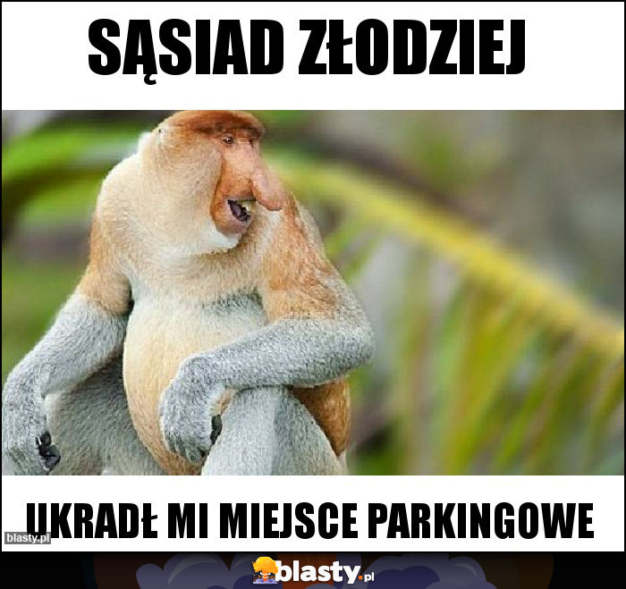 Sąsiad złodziej