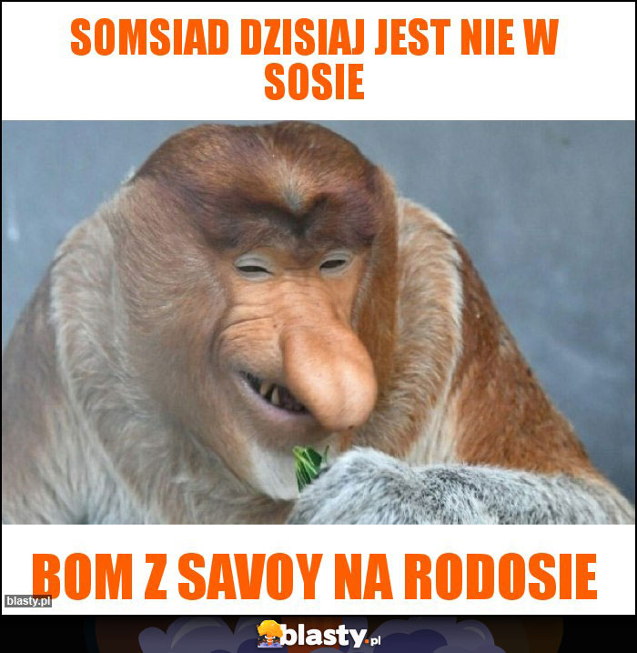 somsiad dzisiaj jest nie w sosie