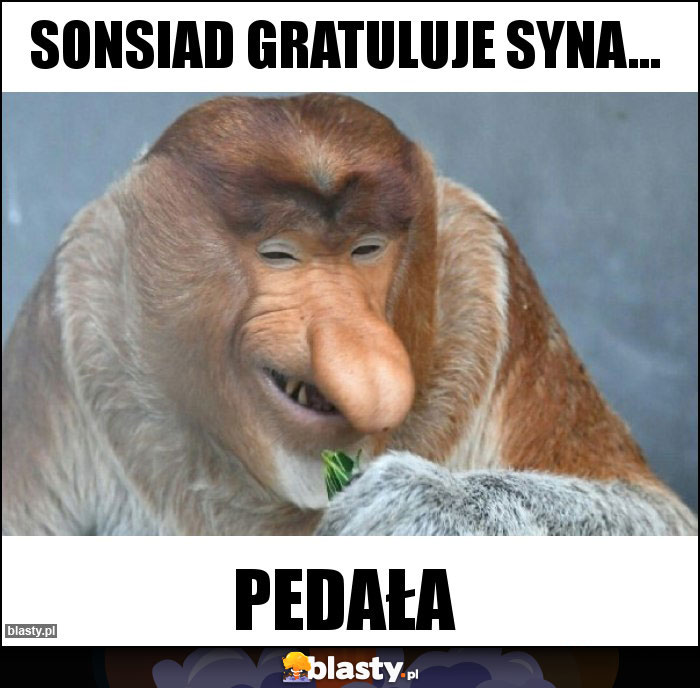 Sonsiad gratuluje syna...