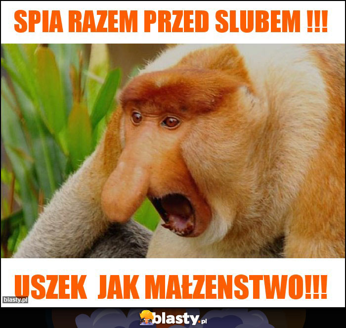 Spia razem przed SLUBEM !!!