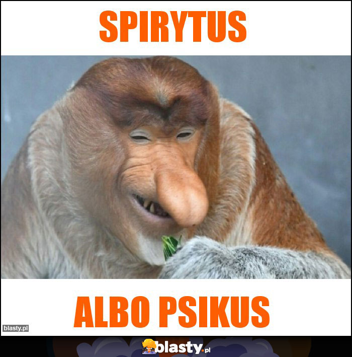 Spirytus