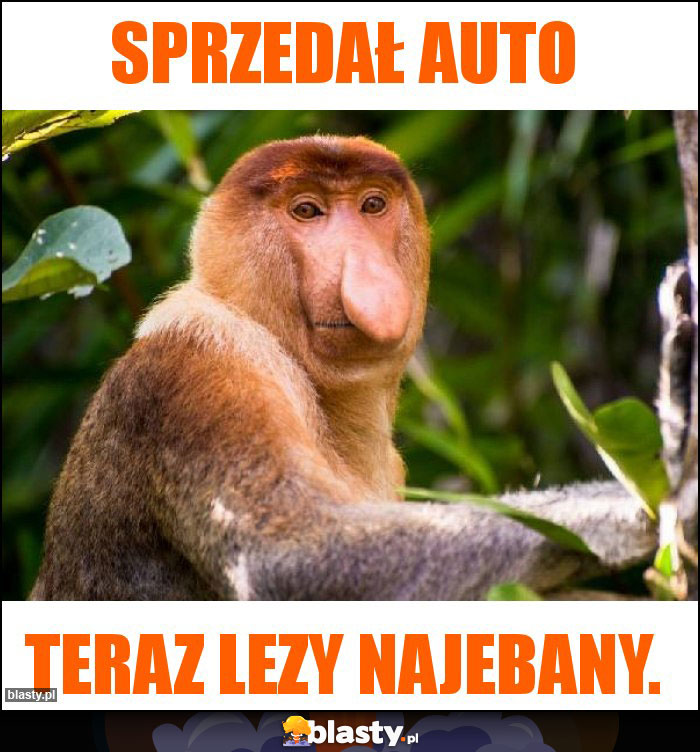 Sprzedał auto