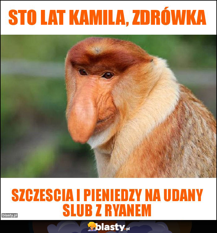 STO LAT KAMILA, ZDRÓWKA