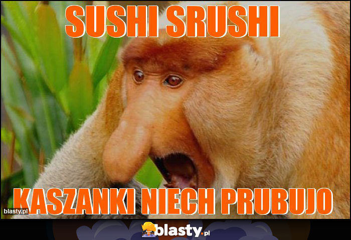 sushi srushi