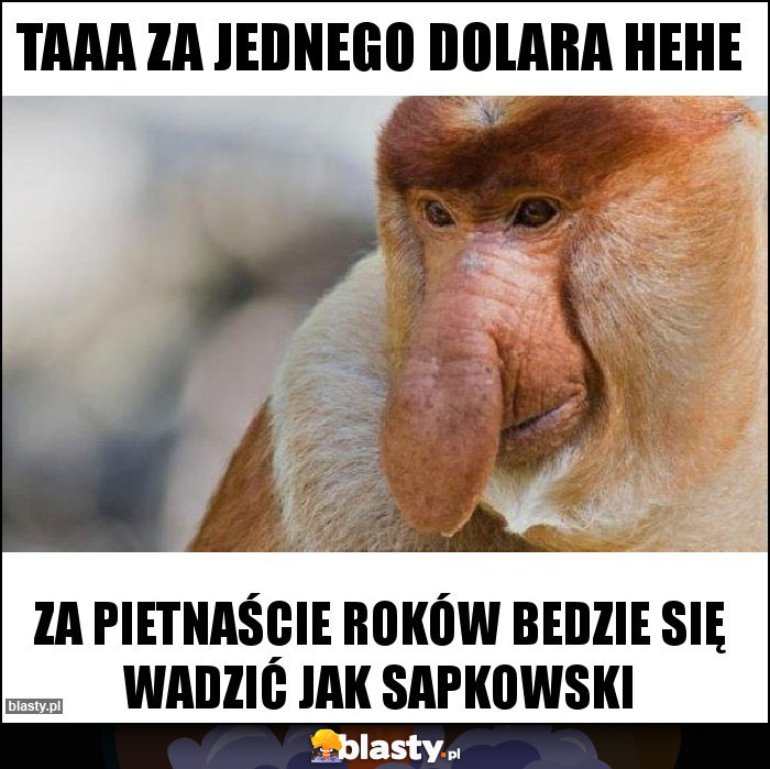 Taaa za jednego dolara hehe