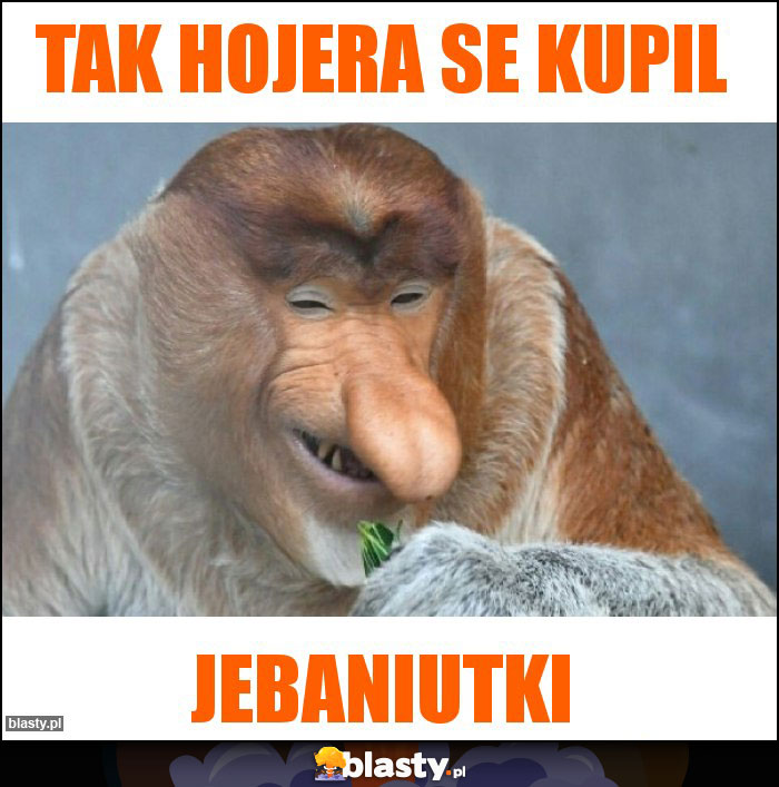 Tak hojera se kupil