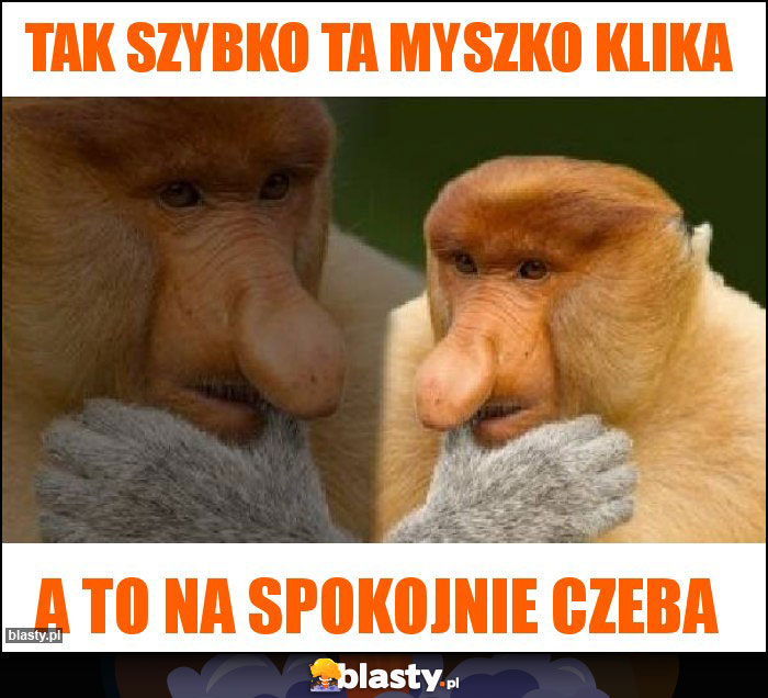 tak szybko ta myszko klika